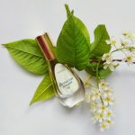 عطر ادکلن دوشیستایا آکاسیا دیلیس پارفوم - Dushistaya Akaciya Dilís Parfum - بررسی، قیمت و خرید