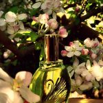 عطر ادکلن ژاردن این نیویورک گلوریا وندربیلت - Jardin a New York Gloria Vanderbilt - بررسی، قیمت و خرید