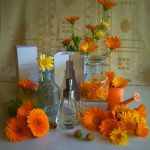 عطر ادکلن شی‌سا نومِنکلیچر - Shi-sõ Nomenclature - بررسی، قیمت و خرید