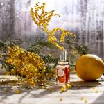 عطر ادکلن آکاسیوسا کارون - Acaciosa Caron - بررسی، قیمت و خرید