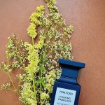 عطر ادکلن فاکینگ فَبیولِس تام فورد - Fucking Fabulous Tom Ford - بررسی، قیمت و خرید