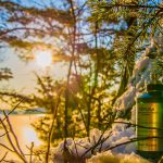 عطر ادکلن سول آو د فورست مِیزون مارتین مارژیلا - Soul Of The Forest Maison Martin Margiela - بررسی، قیمت و خرید