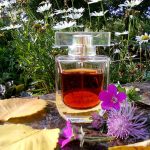 عطر ادکلن لینستنت د گرلن او دو توالت گرلن - L'Instant de Guerlain Eau de Toilette Guerlain - بررسی، قیمت و خرید
