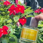 عطر ادکلن ژونکی درن آلن پرفیومز - Jonquille Darren Alan Perfumes - بررسی، قیمت و خرید