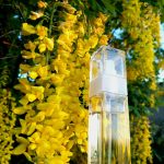عطر ادکلن آیریس گری فره موند - Iris Gray Frais Monde - بررسی، قیمت و خرید