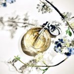 عطر ادکلن پرلرت ولنه - Perlerette Volnay - بررسی، قیمت و خرید
