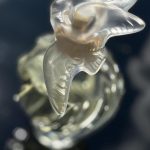 عطر ادکلن له ایر دو تمس آپاریس چه آنتوانت پویسون نینا ریچی - L'Air du Temps À Paris chez Antoinette Poisson Nina Ricci - بررسی، قیمت و خرید