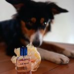 عطر ادکلن هر چویس لا ریو - Her Choice La Rive - بررسی، قیمت و خرید