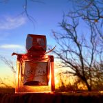 عطر ادکلن بِل اَر مولینارد - Bel Air Molinard - بررسی، قیمت و خرید