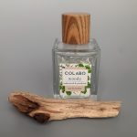 عطر ادکلن وودی سیداروود اند پچولی کولابو - Woody Cedarwood & Patchouli COLABO - بررسی، قیمت و خرید