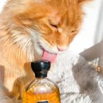 عطر ادکلن لون فِلین اتلیه دز اورز - Lune Feline Atelier des Ors - بررسی، قیمت و خرید