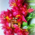 عطر ادکلن جوی ژان پاتو - Joy Jean Patou - بررسی، قیمت و خرید