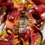 عطر ادکلن امپایر دز اند اُریزا ال. لگراند - Empire des Indes Oriza L. Legrand - بررسی، قیمت و خرید