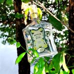 عطر ادکلن لیمو تاهیتی و نرولی گرانادو - Limão Taiti & Neroli Granado - بررسی، قیمت و خرید