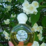 عطر ادکلن ناچنوی ژاسمین سیورنو سیانیه - Ночной жасмин Северное сияние - بررسی، قیمت و خرید