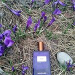 عطر ادکلن رُز او دو پرفیوم مولینارد - Rose Eau de Parfum Molinard - بررسی، قیمت و خرید