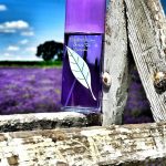 عطر ادکلن گرین تی لوندر الیزابت آردن - Green Tea Lavender Elizabeth Arden - بررسی، قیمت و خرید