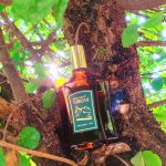 عطر ادکلن کاریوکا گرانادو - Carioca Granado - بررسی، قیمت و خرید