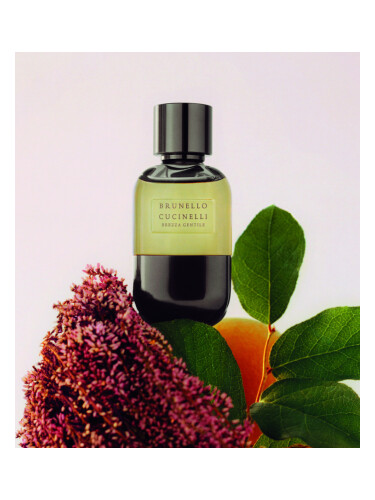 عطر ادکلن بِرِزا جِنتیل برونلو کوچینلی - Brezza Gentile Brunello Cucinelli - بررسی، قیمت و خرید