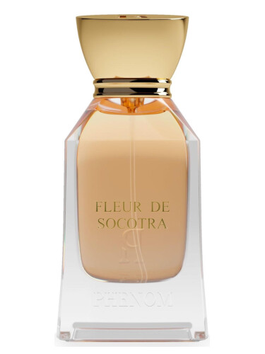عطر ادکلن فلور دو سقطرا فینام - Fleur de Socotra Phenom - بررسی، قیمت و خرید