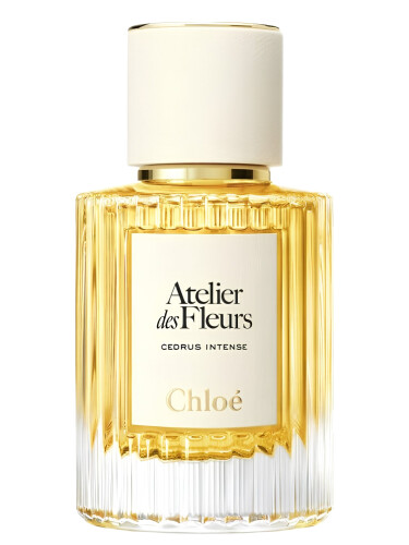 عطر ادکلن سدروس اینتنس کلوئه - Cedrus Intense Chloé - بررسی، قیمت و خرید