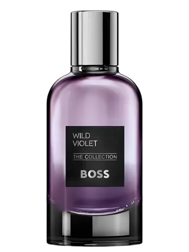 عطر ادکلن دِ کالِکشن وایلد وایولِت هیوگو بوس - The Collection Wild Violet Hugo Boss - بررسی، قیمت و خرید