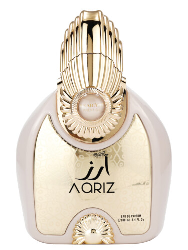 عطر ادکلن آریز عربیت - Aariz Arabiyat - بررسی، قیمت و خرید