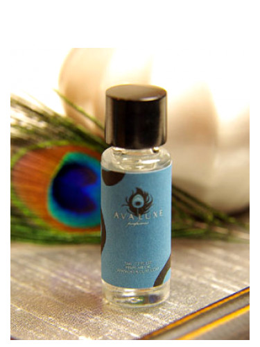 عطر ادکلن کافه نوآر اوا لوکس - Cafe Noir Ava Luxe - بررسی، قیمت و خرید