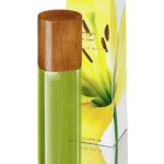 عطر ادکلن ویوا داینا دکر - Viva DayNa Decker - بررسی، قیمت و خرید