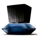 عطر ادکلن پرایوت کالکشن امبر آدولفو دومینگز - Private Collection Ambar Adolfo Dominguez - بررسی، قیمت و خرید