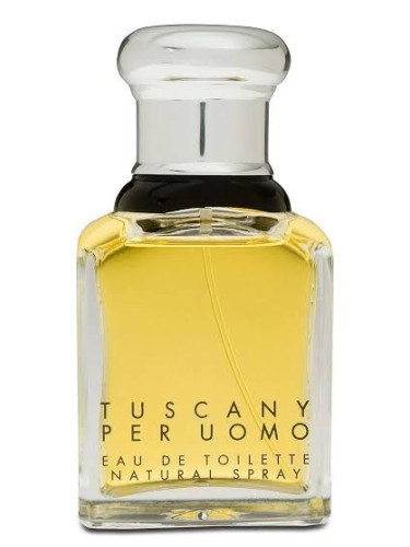 عطر ادکلن تاسکانی پر اومو آرامیس - Tuscany Per Uomo Aramis - بررسی، قیمت و خرید