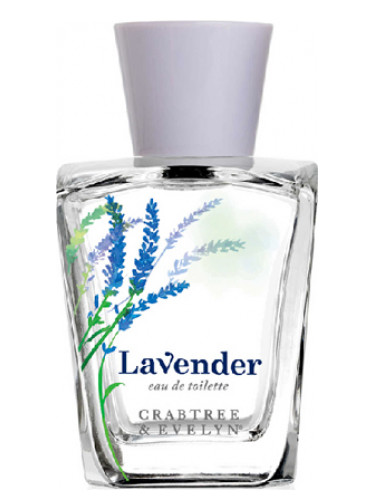 عطر ادکلن لوندر کراب‌تری اند اوِلین - Lavender Crabtree & Evelyn - بررسی، قیمت و خرید