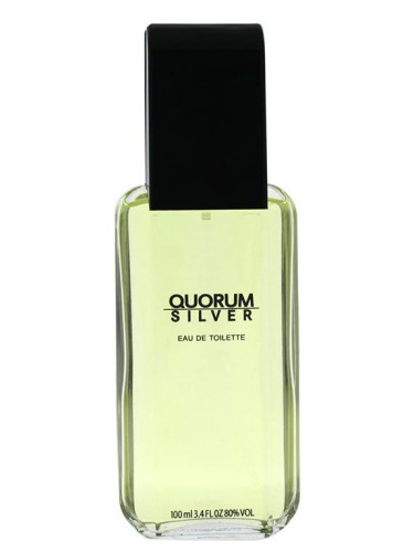 عطر ادکلن کوروم سیلور آنتونیو پویگ - Quorum Silver Antonio Puig - بررسی، قیمت و خرید