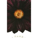 عطر ادکلن جاسمین ماسک زارا - Jasmine Musc Zara - بررسی، قیمت و خرید