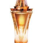 عطر ادکلن رانان اجمل - Rannan Ajmal - بررسی، قیمت و خرید