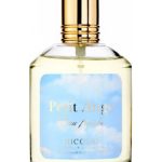 عطر ادکلن پتی آنژ نیکولای پارفومه کرییتور - Petit Ange Nicolai Parfumeur Createur - بررسی، قیمت و خرید