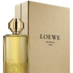 عطر ادکلن آتاردسر اِن لوس جاردینس دل بوئن رتیرُ لووه - Atardecer en los Jardines del Buen Retiro Loewe - بررسی، قیمت و خرید