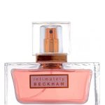 عطر ادکلن اینْتیمتلی بکهام دیوید بکهام - Intimately Beckham David Beckham - بررسی، قیمت و خرید