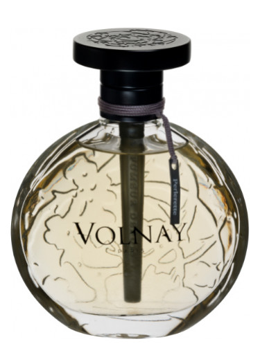 عطر ادکلن پرلرت ولنه - Perlerette Volnay - بررسی، قیمت و خرید