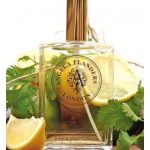 عطر ادکلن هسپریدس آنژلا فلندرز - Hesperides Angela Flanders - بررسی، قیمت و خرید