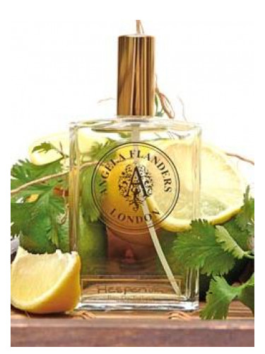 عطر ادکلن هسپریدس آنژلا فلندرز - Hesperides Angela Flanders - بررسی، قیمت و خرید
