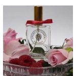 عطر ادکلن کاشو آنجلا فلاندرز - Cachou Angela Flanders - بررسی، قیمت و خرید