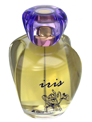 عطر ادکلن آیریس اسغرحلی - Iris Asgharali - بررسی، قیمت و خرید