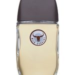 عطر ادکلن وایلد کانتری ایوون - Wild Country Avon - بررسی، قیمت و خرید