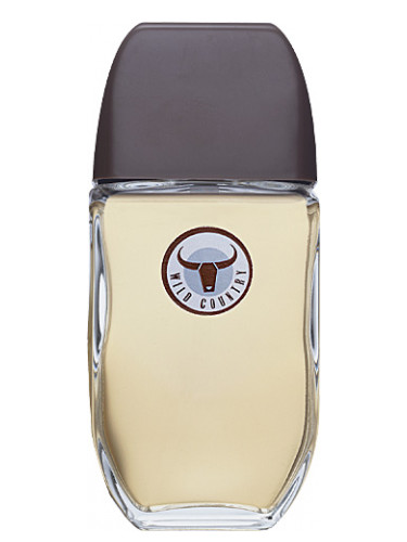 عطر ادکلن وایلد کانتری ایوون - Wild Country Avon - بررسی، قیمت و خرید