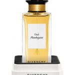 عطر ادکلن عود فلامبویانت ژیوانشی - Oud Flamboyant Givenchy - بررسی، قیمت و خرید