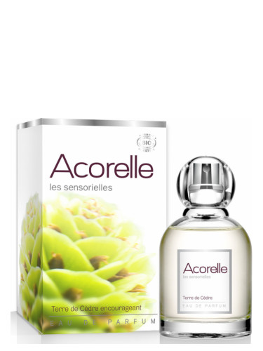 عطر ادکلن تر دو سدر آکرله - Terre de Cèdre Acorelle - بررسی، قیمت و خرید