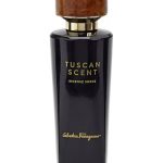 عطر ادکلن این سئانس سوئید سالواتوره فراگامو - Incense Suede Salvatore Ferragamo - بررسی، قیمت و خرید