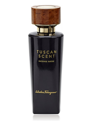عطر ادکلن این سئانس سوئید سالواتوره فراگامو - Incense Suede Salvatore Ferragamo - بررسی، قیمت و خرید