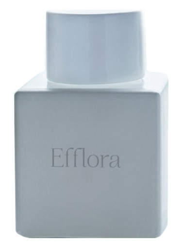 عطر ادکلن ایفلورا اودین - Efflora Odin - بررسی، قیمت و خرید